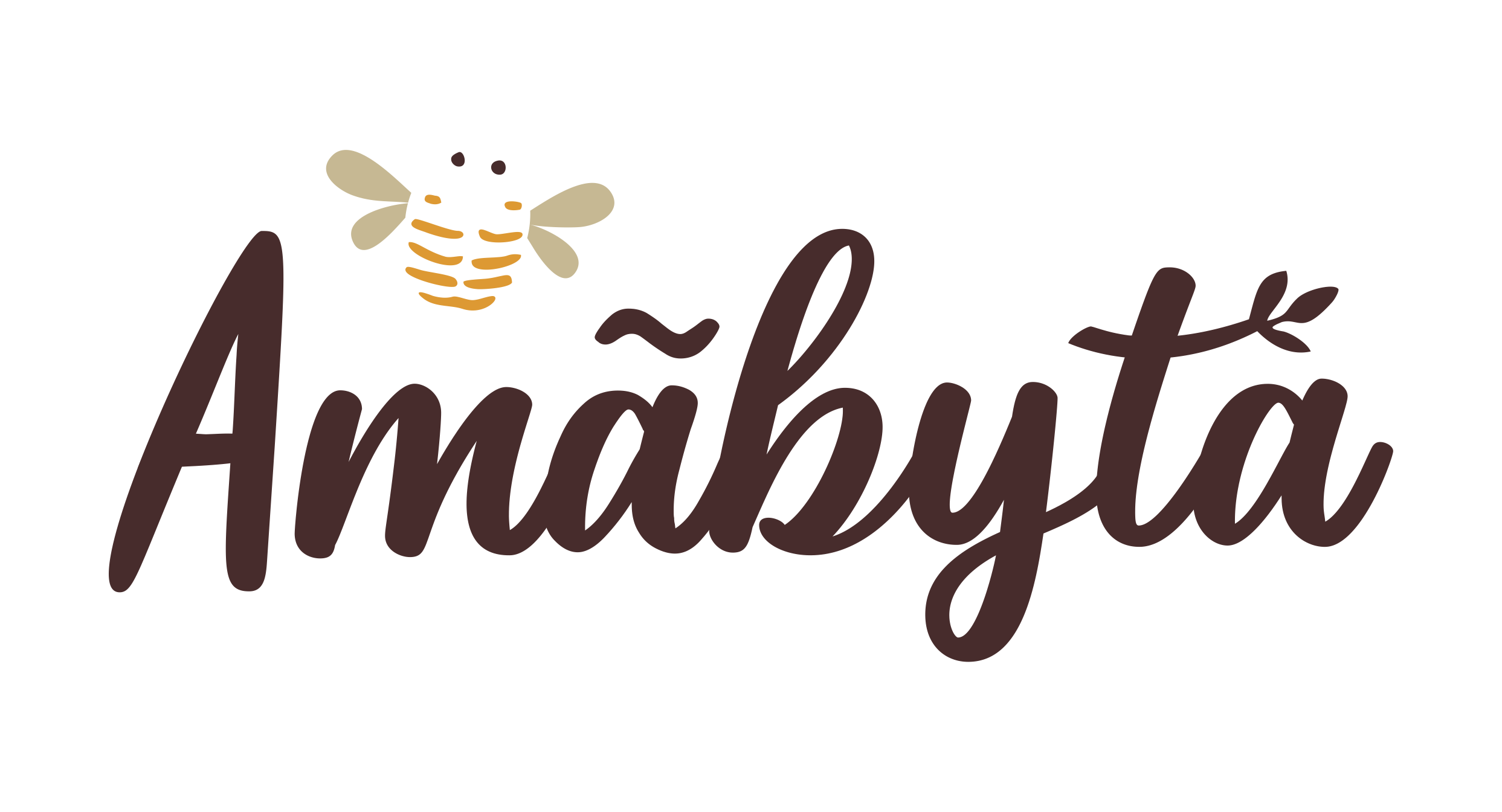 Logo da empresa amabyta